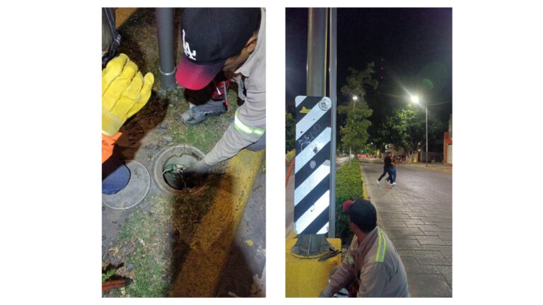 Ayuntamiento de SLP repara faroles dañados por vandalismo en avenida Carranza