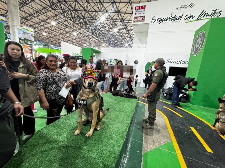 SSPC mantiene despliegue permanente en la FENAPO 2026