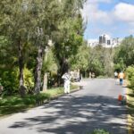 Gobierno de la Capital realiza labores de limpieza y mantenimiento en el tradicional Camino a la Presa