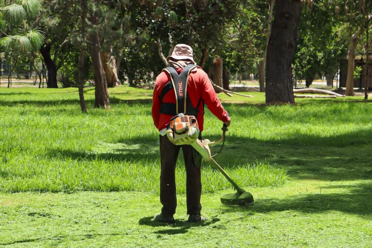 Parque Japonés del Tangamanga I recibe mantenimiento integral