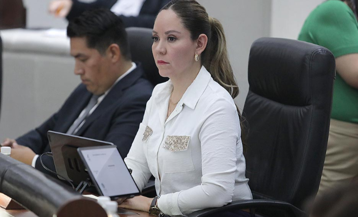 Iniciativa busca transformar el modelo actual de atención municipal en materia de salud mental: Dip. Dulcelina Sánchez de Lira