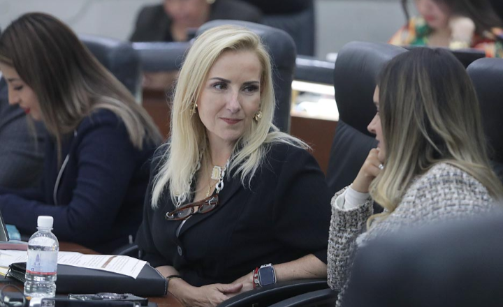 Aprobadas reformas a la Ley de Turismo del Estado para fortalecer la difusión de patrimonio cultural, histórico, artístico y arqueológico de la entidad: Dip. María Aranzazu Puente