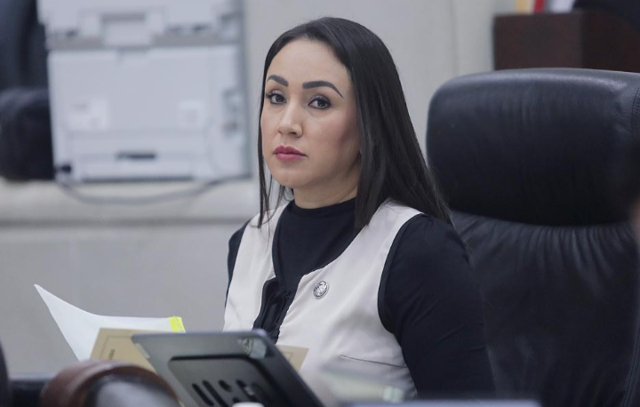 Iniciativa busca reformar la Ley de las Personas Adultas Mayores del Estado para incorporar el concepto de perspectiva de Persona Adulta Mayor: Dip. Brisseire Sánchez López