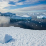 El deshielo y las lluvias extremas en la Antártida bajan la sal del mar y dañan especies clave: científicos advierten sobre riesgos globales