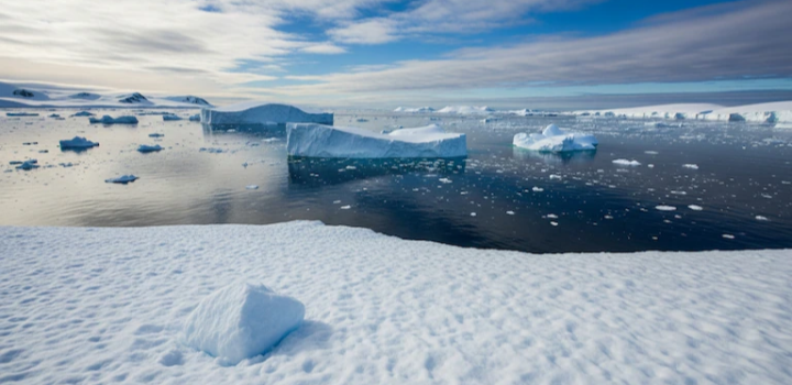 El deshielo y las lluvias extremas en la Antártida bajan la sal del mar y dañan especies clave: científicos advierten sobre riesgos globales