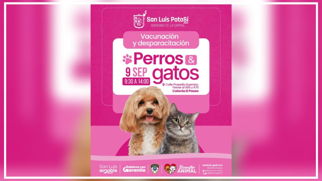Más acciones del Gobierno de la Capital para fomentar la protección y salud animal