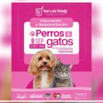 Más acciones del Gobierno de la Capital para fomentar la protección y salud animal