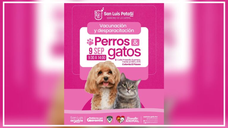 Más acciones del Gobierno de la Capital para fomentar la protección y salud animal