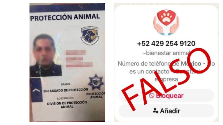 Alerta SSPC y su área de Bienestar Animal acerca de falsos gestores