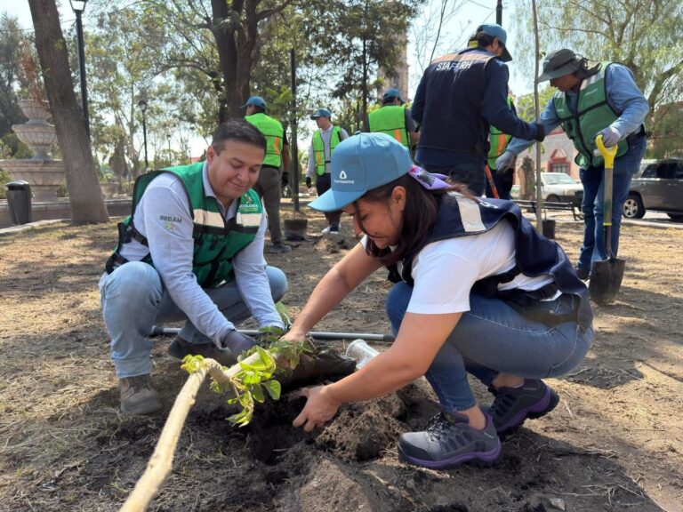 Segam mantendrá reforestación permanente en más cuatro regiones