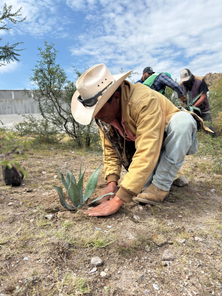 Segam reforesta con 600 ejemplares y entrega 200 árboles frutales