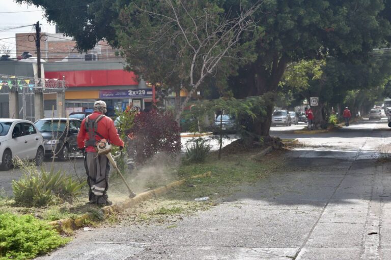 Gobierno Municipal lleva labores de limpieza y mantenimiento a Jardines del Estadio