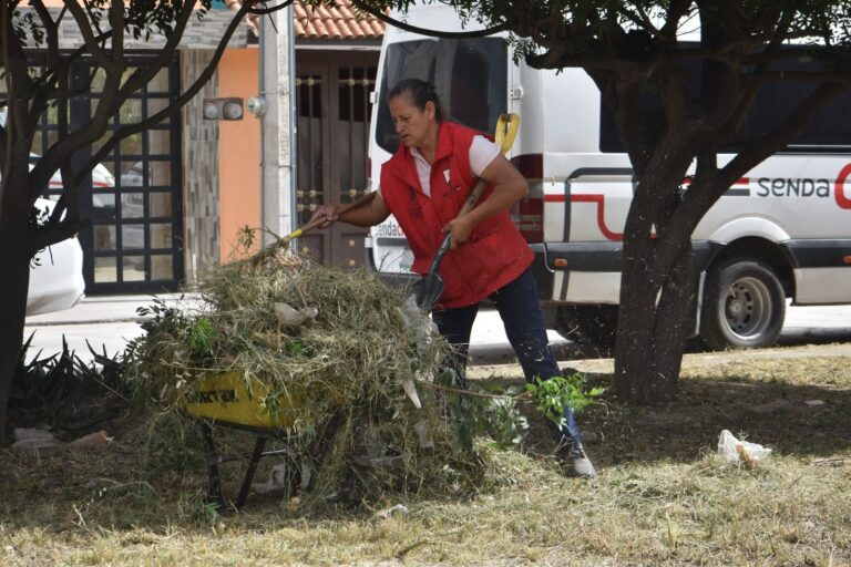 Intervienen calle Circuito Prolongación Moctezuma con jornada de limpieza de Capital al 100
