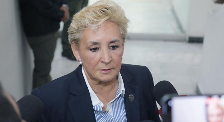 Se trabajará en el fortalecimiento de acciones para la atención en salud mental, principalmente entre jóvenes: Dip. Frinné Azuara Yarzábal