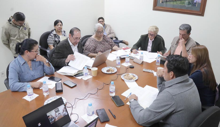 La Comisión de Salud y Asistencia Social aprobó reformas para incorporar los conceptos de demencia, deterioro y cognitivo y salud cerebral en la Ley de Salud del Estado: Dip. Frinné Azuara Yarzábal