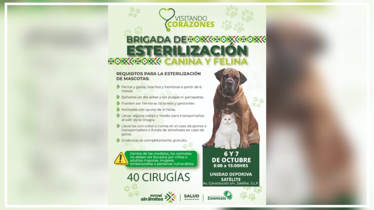 Mega jornada gratuita realiza 275 esterilizaciones de perros y gatos en San Luis Potosí