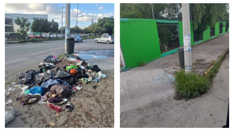 Gobierno de la Capital atiende de inmediato reportes ciudadanos y limpia avenida Mariano Jiménez