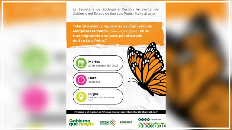 Segam capacitará sobre el monitoreo y la conservación de la mariposa monarca