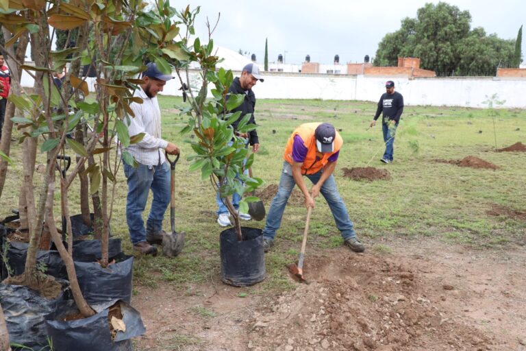 Gobierno Municipal suma 100 árboles a las áreas verdes de San Luis Capital