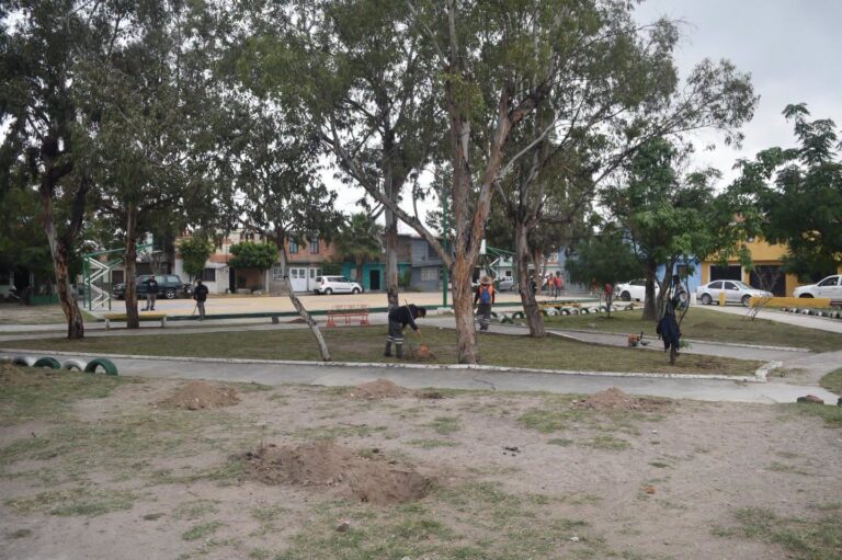 Ayuntamiento de San Luis Capital mejora espacios públicos en la colonia 6 de Junio con Capital al 100