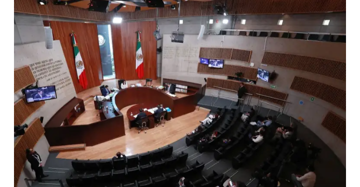 TEPJF rechaza obligar al INE que investigue campañas adelantadas de las “corcholatas”