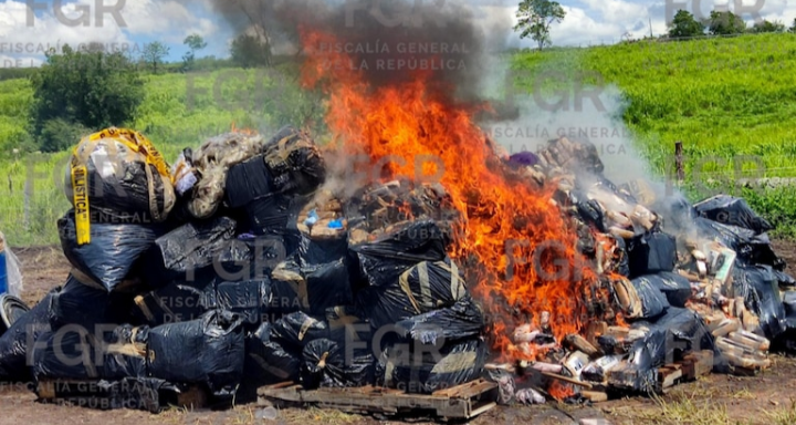 FGR destruye más de tres toneladas de dr0gas en Colima: pérdida para el crim3n organizado supera los 648 millones de pesos