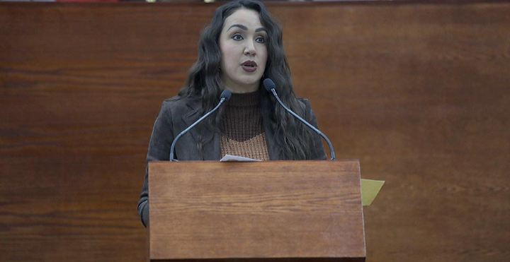 Se incorpora expresamente el concepto de «Corresponsabilidad Familiar» en la Ley para la Igualdad entre Mujeres y Hombres de San Luis Potosí: Dip. Brisseire Sánchez López