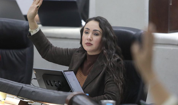 Iniciativa de reforma a la Ley del Sistema de Seguridad Pública del Estado para que, en los municipios con población indígena se procure incluir elementos que conozcan su cosmovisión, cultura y lengua: Dip. Brisseire Sánchez López